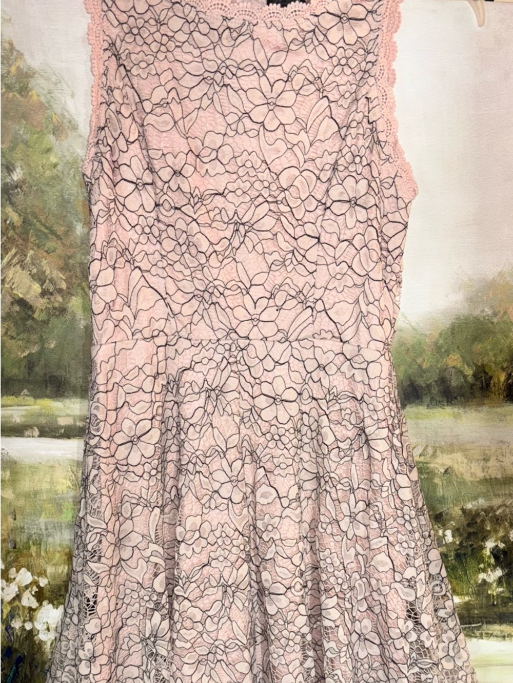 Lily Rose Blush Pink Lace Overlay Dress